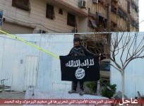 An Isis fighters poses with the black flag of the Sunni militant group inside Yarmouk camp.