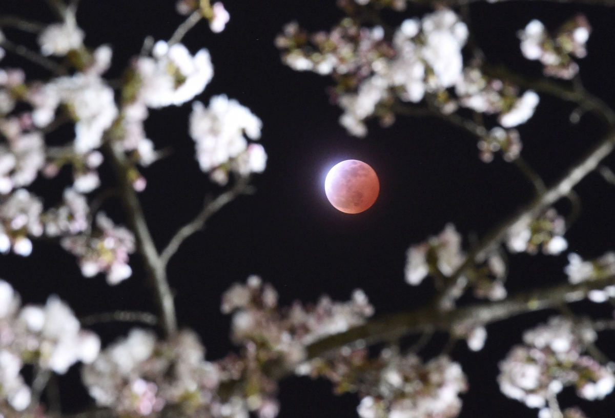 Blood Moon 2015: Stunning Images of 'First' Total Lunar Eclipse