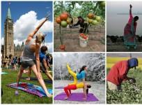 World Health Day 2015