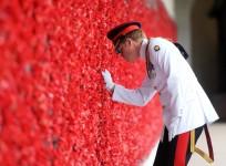 prince-harry-not-on-traditional-royal-tour