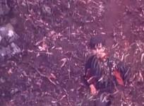 11-year-old-boy-recovering-after-4-days-lost-in-victoria-bushland