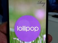 Nexus 5 with Android 5.1 Lollipop