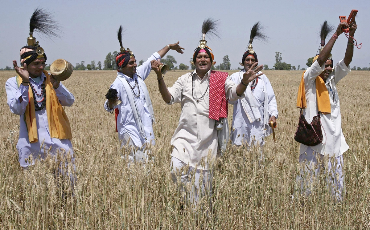 Baisakhi 2015 Why Is It Celebrated Wishes To Send To Your Loved Ones
