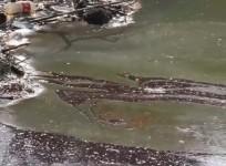 mexico-500000-left-without-drinking-water-after-oil-spill
