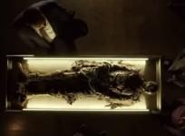 Dr Wells dead body in Starling City