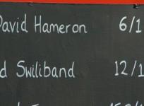 election-2015-political-pig-racing-could-predict-the-outcome