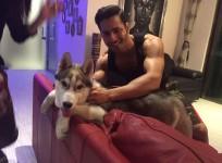 Varun Dhawan