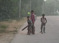 cricket