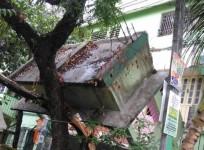 Earthquake