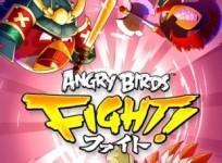 Angry Bird Fights!
