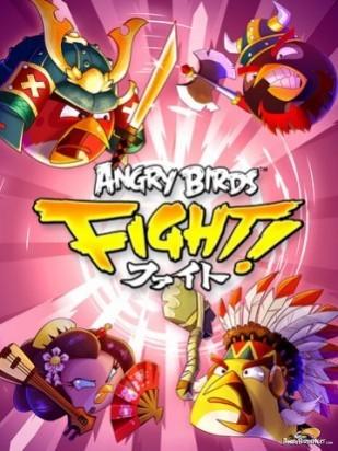 Angry Bird Fights! Angry Bird Fights!
