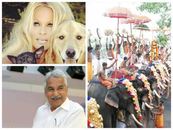 Pamela Anderson writes to Oommen Chandy not to use elephants for Thrissur Pooram Pamela Anderson writes to Oommen Chandy not to use elephants for Thrissur Pooram