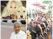 Pamela Anderson writes to Oommen Chandy not to use elephants for Thrissur Pooram