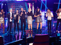 the voice