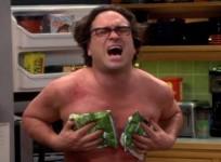 Johnny Galecki as Leonard Hofstader