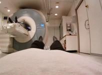 out-of-body-illusion-created-in-humans-for-first-time-paves-way-for-teleoperations