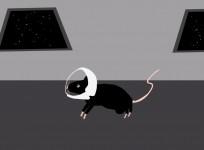 space-radiation-makes-mice-confused-and-lack-curiosity-bad-news-for-mars-mission