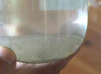 chile-new-volcanic-ashes-contaminate-drinking-water