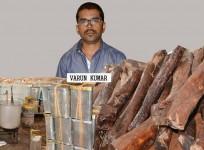 Red Sanders Smuggler Varun Kumar