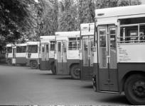 andhra pradesh bus strike