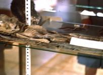 aliens-exist-ufo-specialists-present-previously-unseen-new-mexico-photos