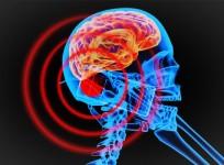 radiation-scientists-appeal-to-un-to-protect-against-danger-of-wireless-devices