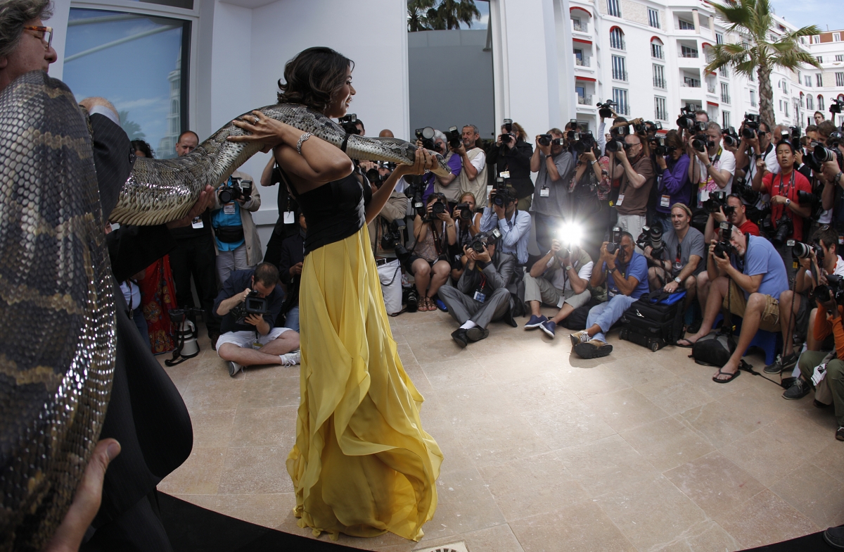 Cannes Film Festival 2015: Mallika Sherawat