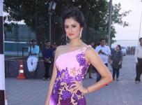 Star Parivaar 2015 Red Carpet Arrival