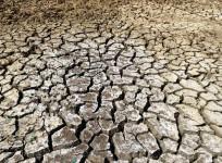 Parched land