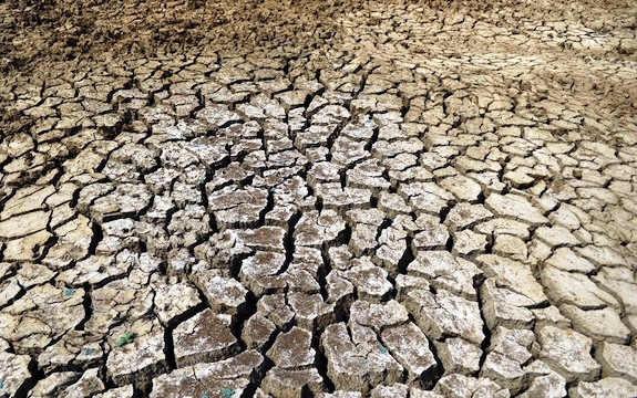 Parched land