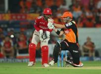 David Warner