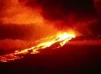 galapagos-islands-volcano-eruption-threatrens-worlds-only-population-of-pink-inguanas