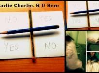Rumours claim that three teens in Philadelphia were beaten up and raped by the Mexican 'Charlie demon'.