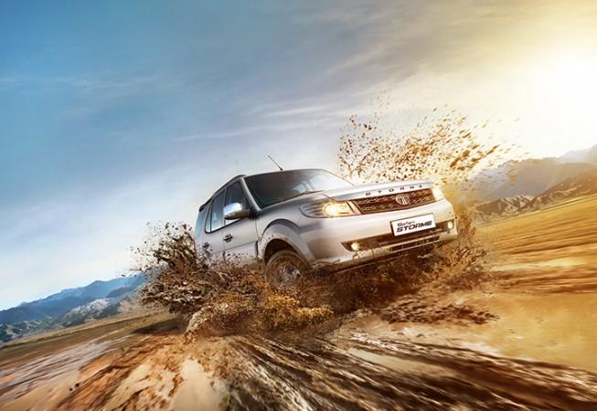 Safari Storme
