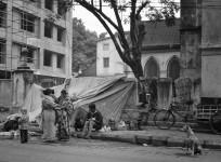 pavement dwellers