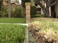 californians-give-drought-ridden-brown-lawns-a-hollywood-makeover