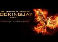 Promotional image of 'The Hunger Games Mockingjay - Part 2'