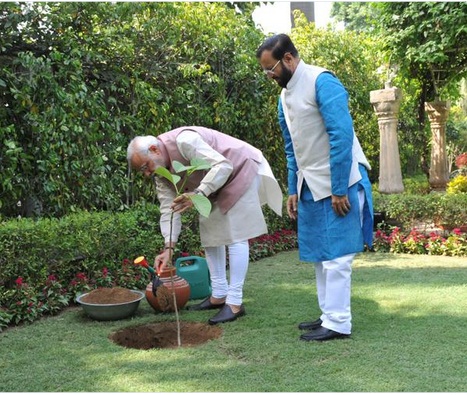 World Environment Day