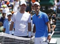 Andy Murray Novak Djokovic
