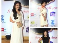 Zee Gold Awards 2015