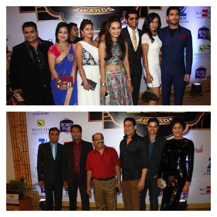 Zee Gold Awards 2015