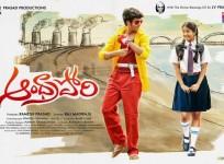 Andhra Pori