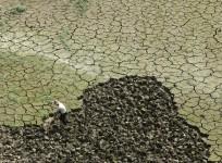 Drought