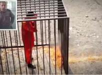 A Syrian pilot, who did not want to meet the same fate as the Jordanian pilot, decided to shoot himself after he crashed landed into an Isis area in Syria.