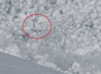 helicopter-films-rabbit-outrun-avalanche-in-russia-video