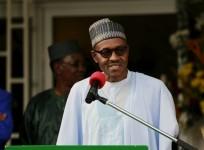 nigeria-african-neighbours-forge-anti-boko-haram-force