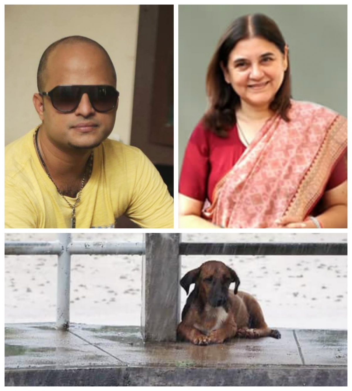 Jude Anthony Joseph writes an open letter to Menaka Gandhi