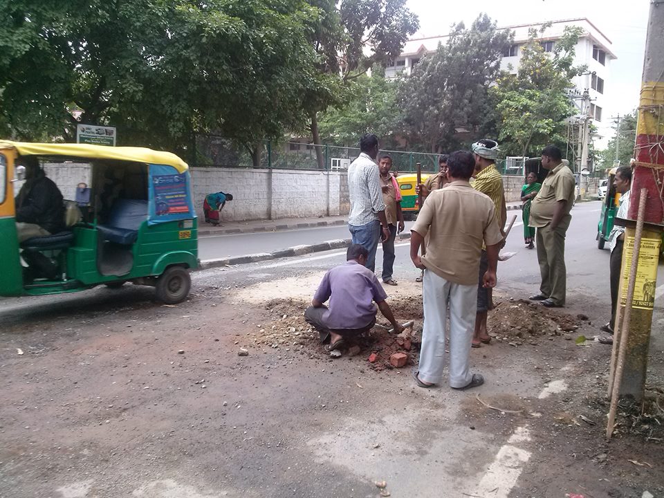 crocodile bengaluru pothole bangalore