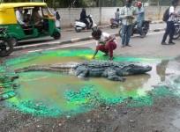 crocodile bengaluru pothole bangalore