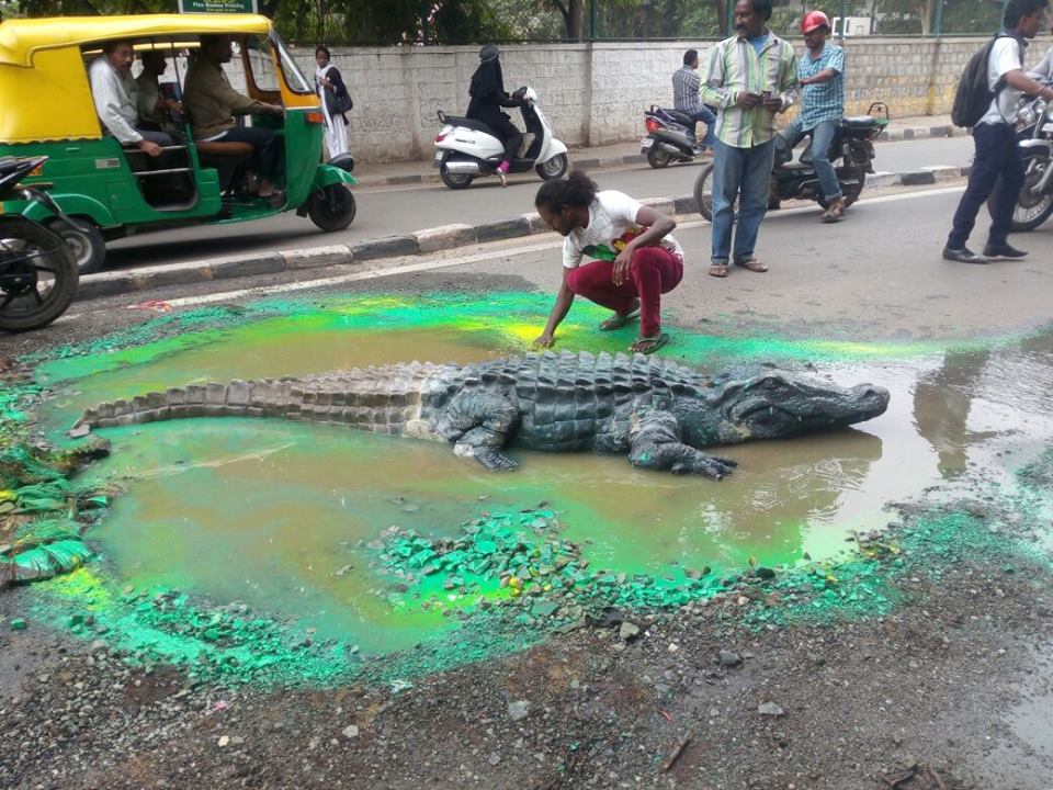 crocodile bengaluru pothole bangalore